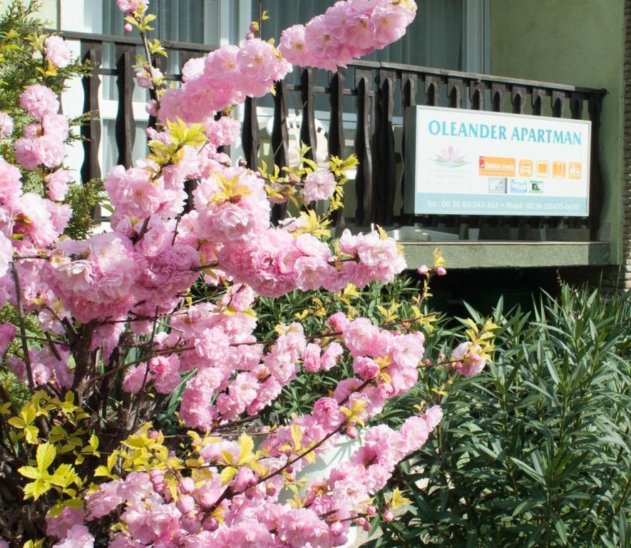 Oleander Apartman Hévíz المظهر الخارجي الصورة