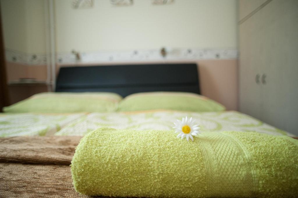 Oleander Apartman Hévíz المظهر الخارجي الصورة